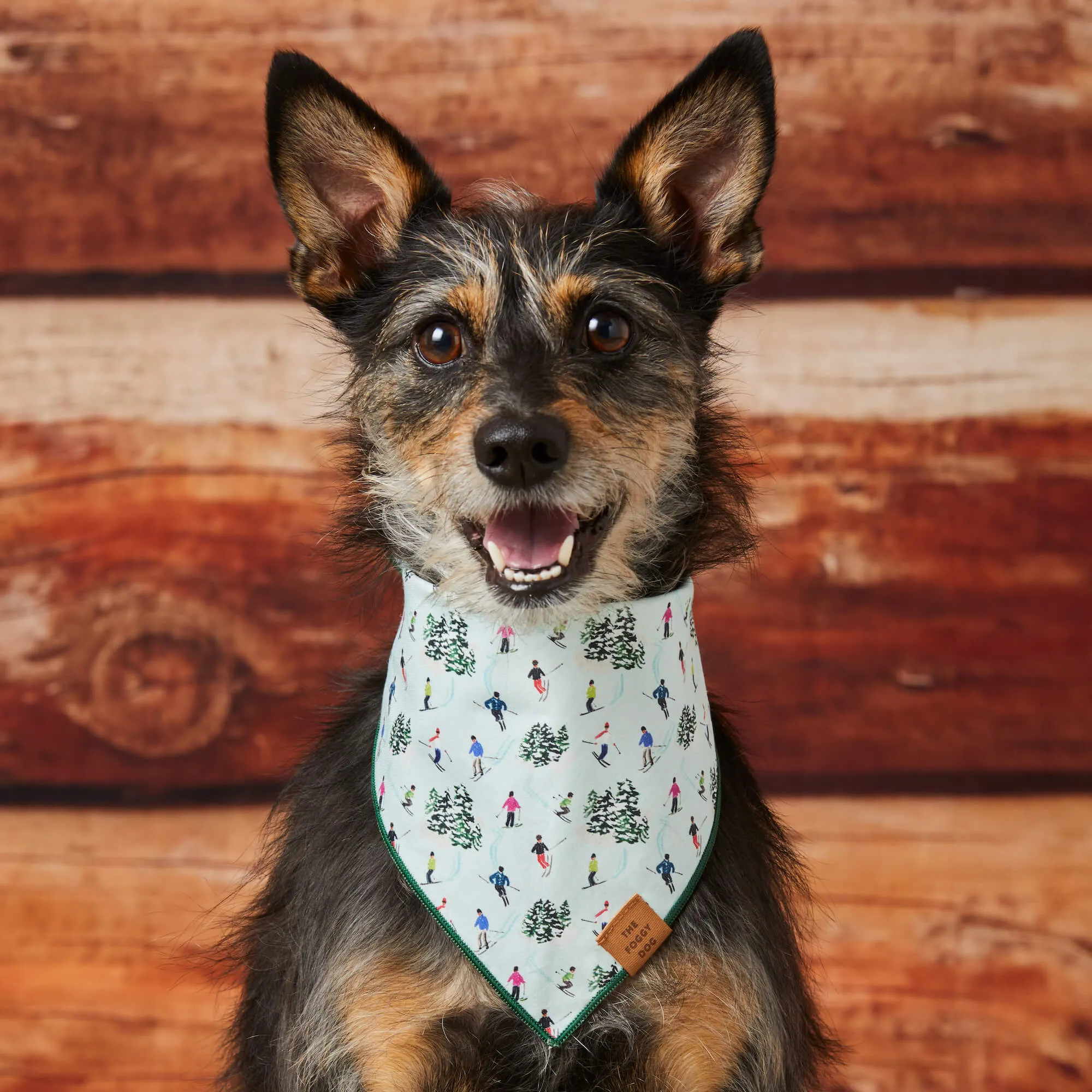 Gray Malin x TFD Powder Day Dog Bandana